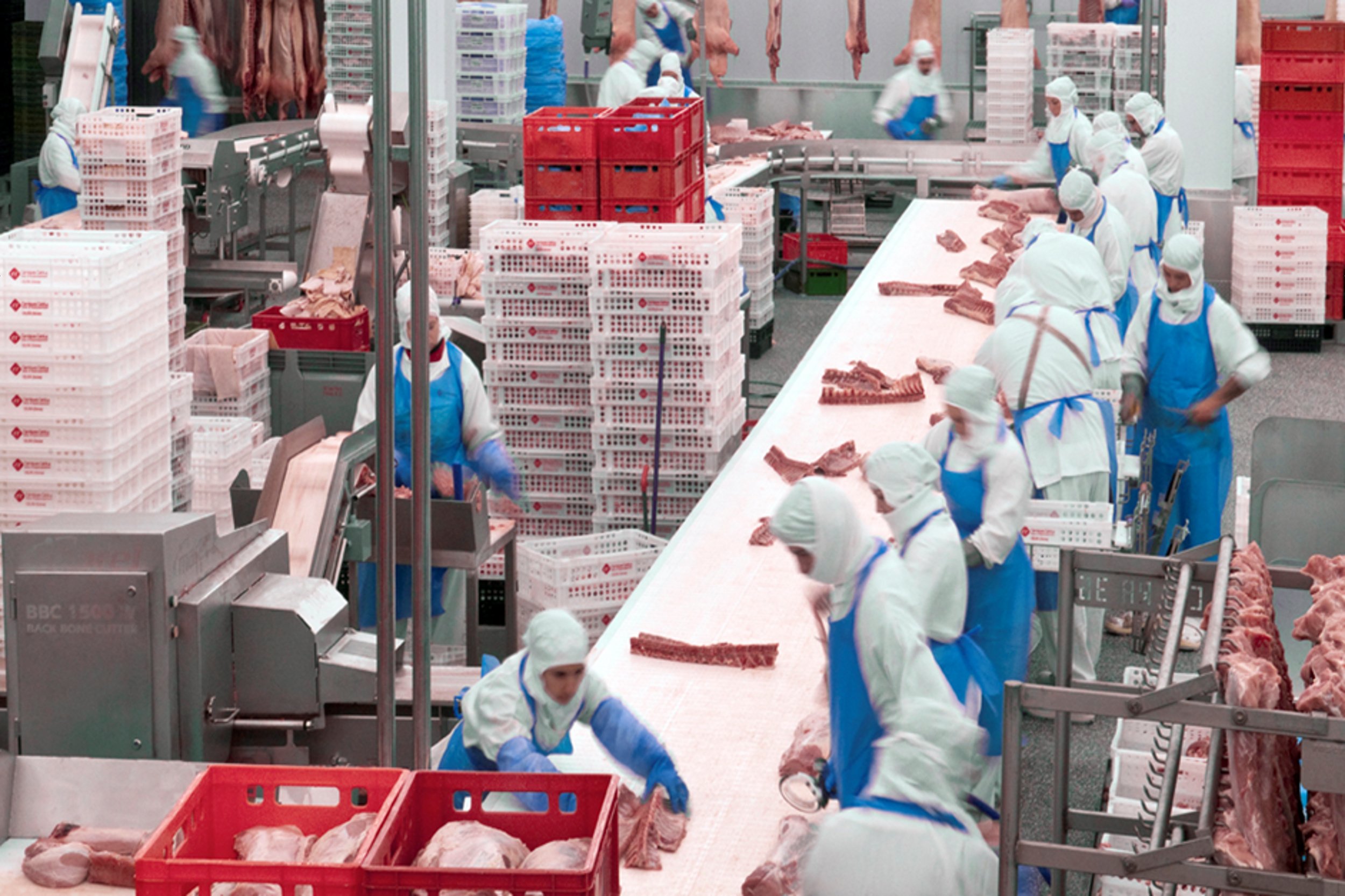 L'interior de l'empresa Càrniques Juià L'interior de l'empresa Càrniques Juià