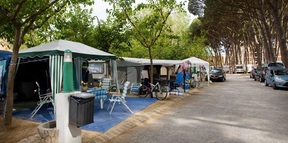 El Càmping Costa Brava té 220 parcel·les per a tendes i caravanes