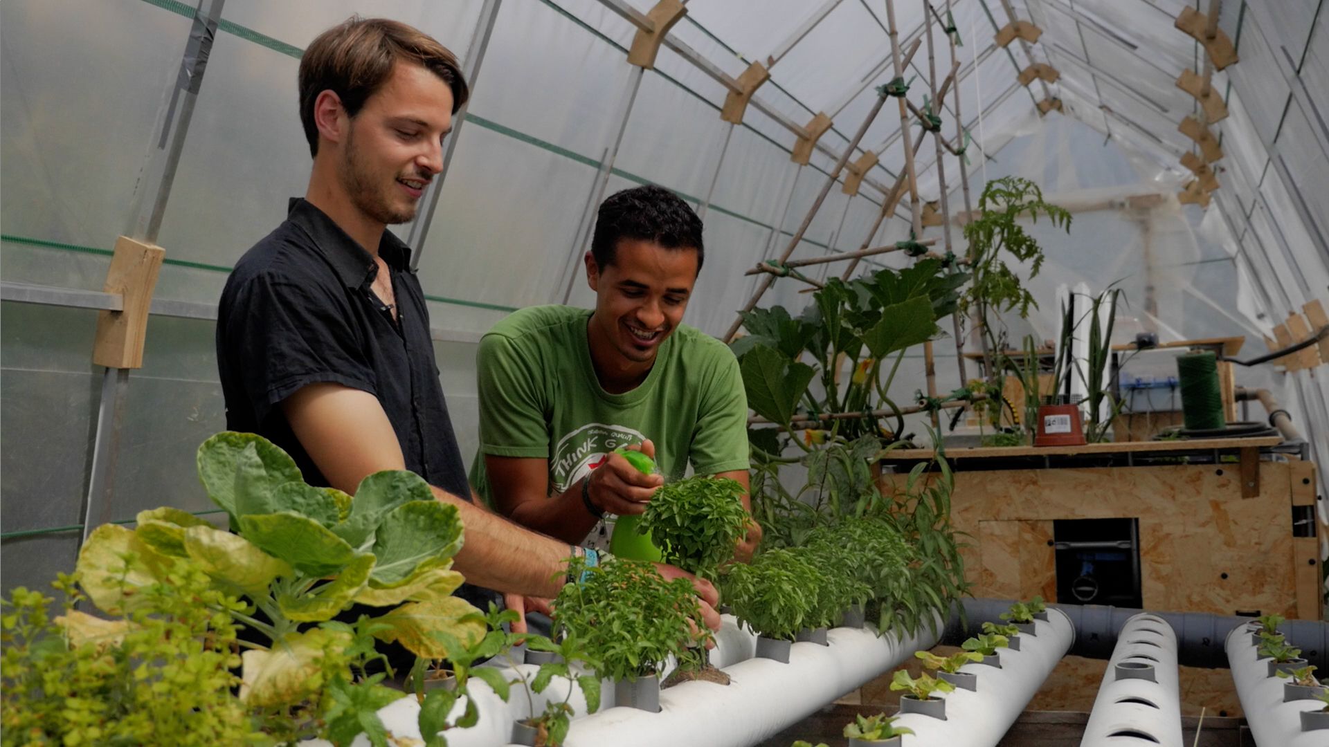 In the greenhouse, they have grown more vegetables to demonstrate that another type of agriculture is possible | Ceded In the greenhouse, they have grown more vegetables to demonstrate that another type of agriculture is possible | Ceded