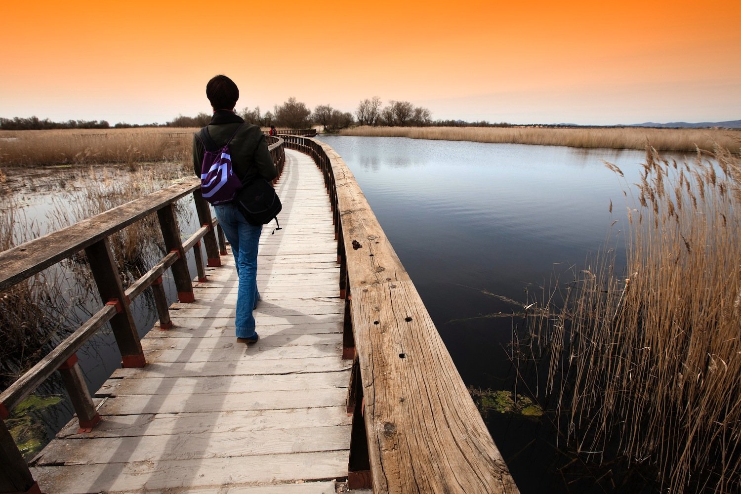 Viajar por el mundo y trabajar Viajar por el mundo y trabajar