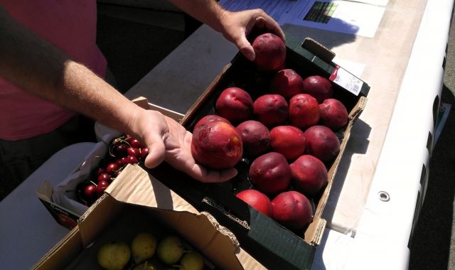 Fruita venuda en mal estat | ACN