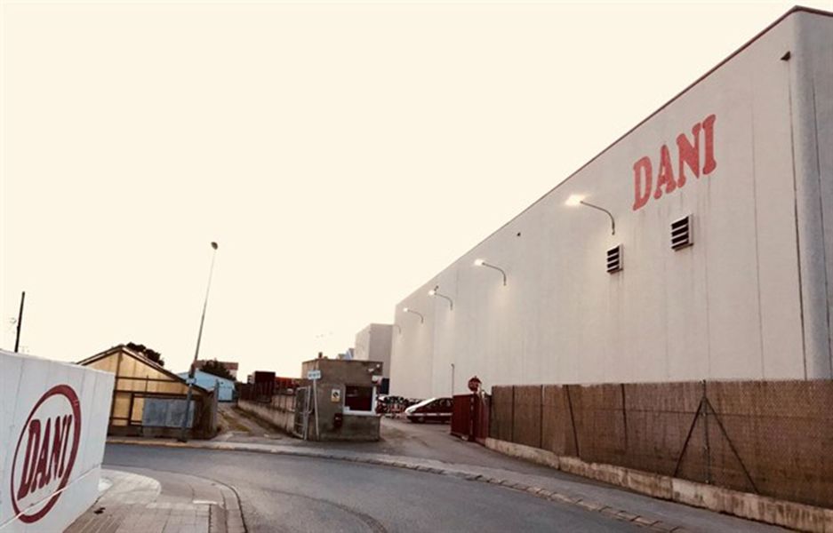 La planta de Dani a Vilassar de Mar