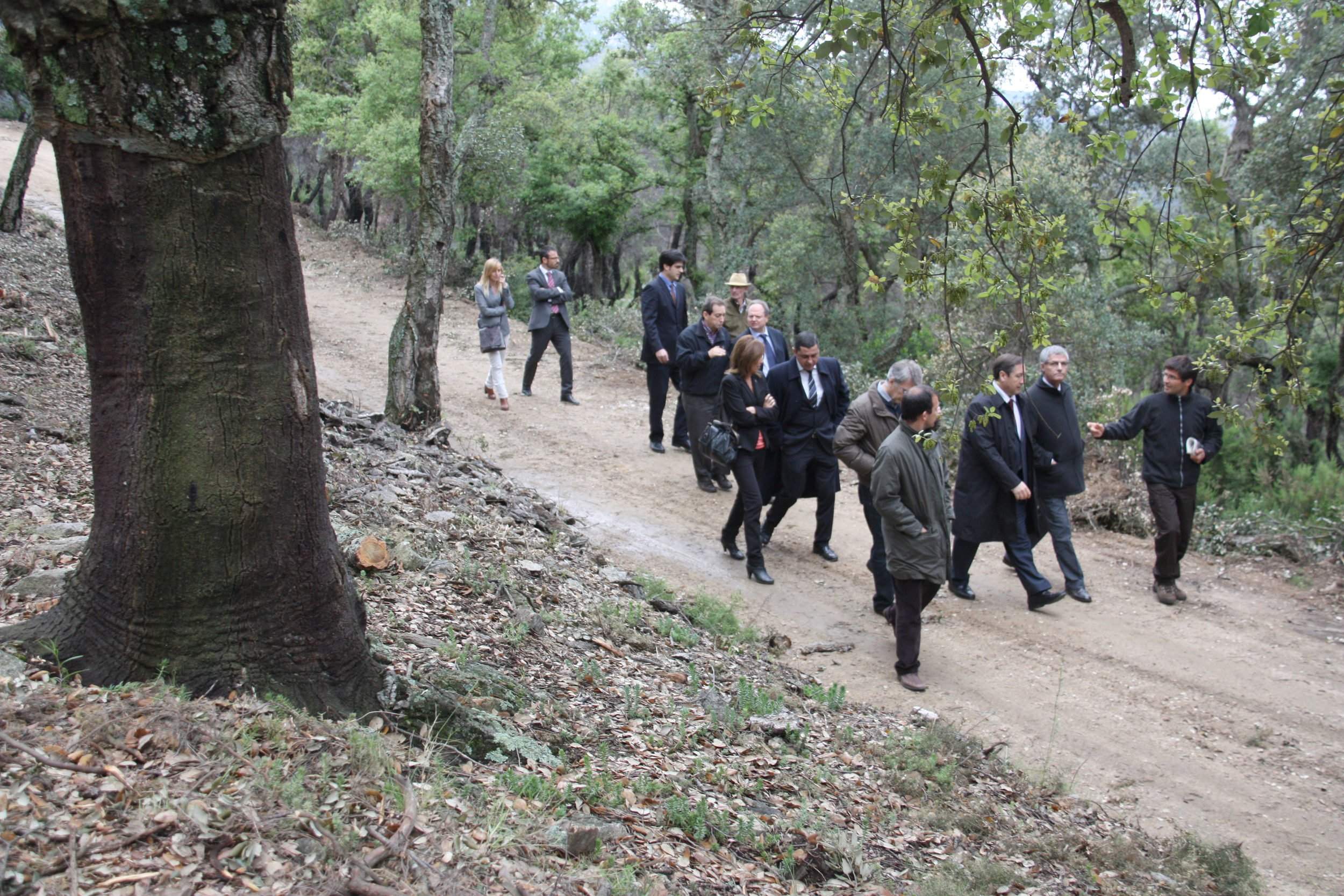 La Generalitat vol reactivar el sector forestal