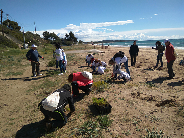 Voluntaris de Gas Natural Fenosa treballant a Tarragona | Cedida