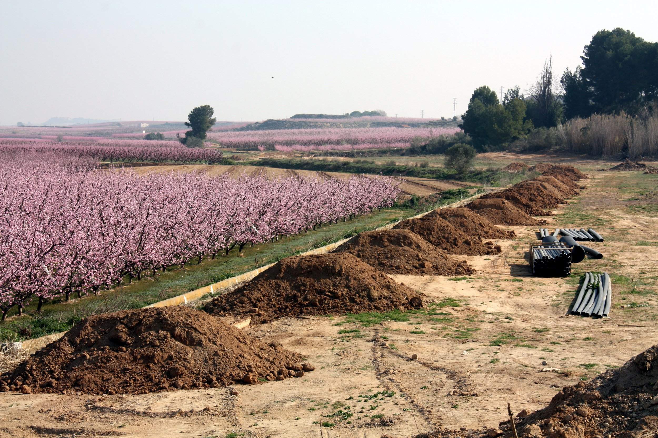 La millora en infraestructura beneficiarà el sector agroalimentari del territori