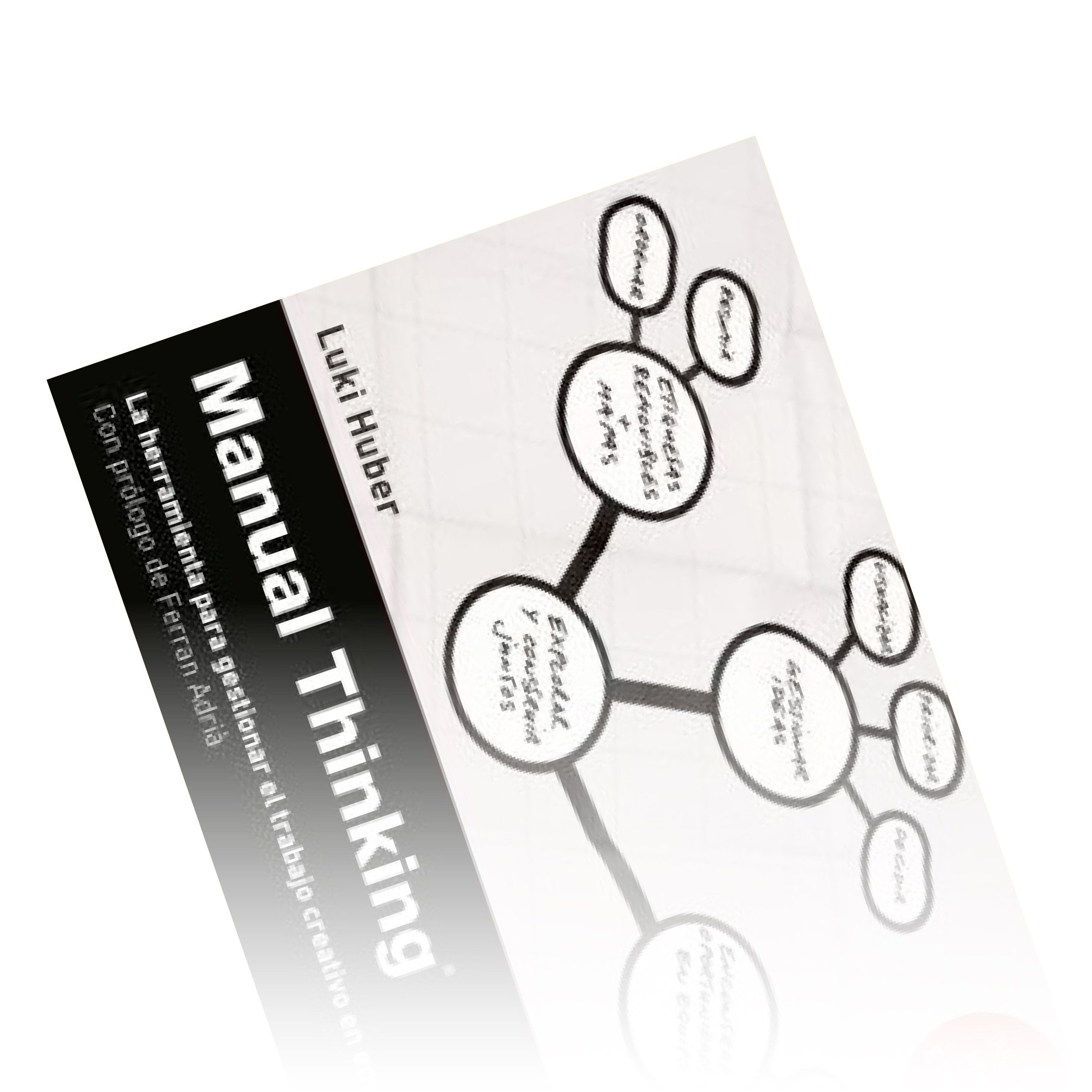 Manual Thinking de Luki Huber
