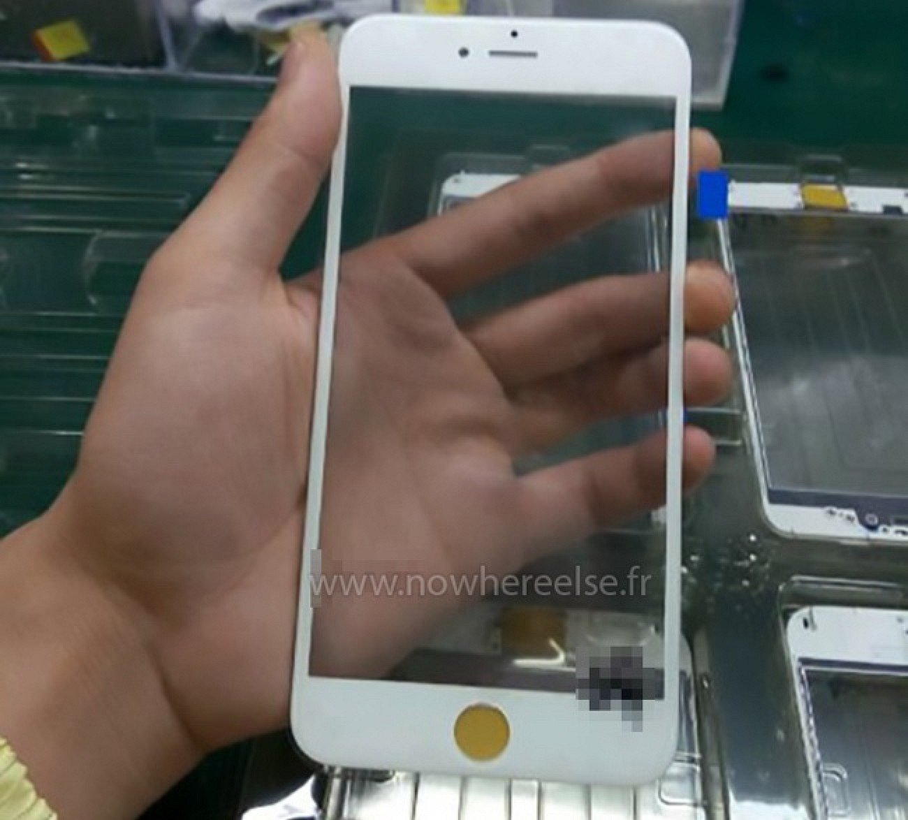 El 9 de septiembre podría salir una nueva actualización de la iPhone 6 y Plus 6 El 9 de septiembre podría salir una nueva actualización de la iPhone 6 y Plus 6