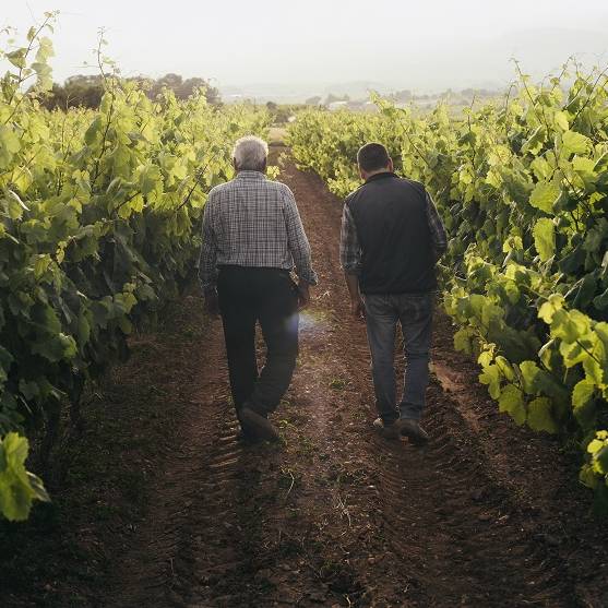 Los vinos catalanes buscan salida en los EE.UU. Los vinos catalanes buscan salida en los EE.UU.