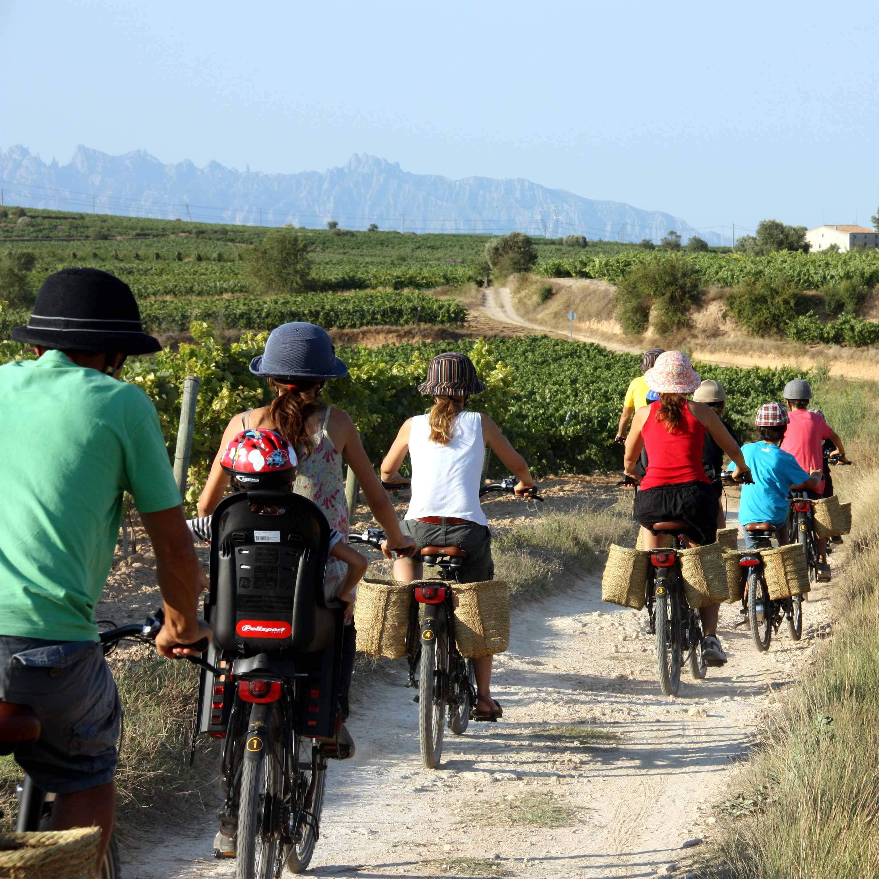 Las visitas a viñas son un ejemplo para cohesionar trabajadores